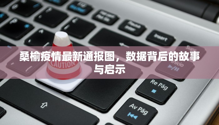 桑榆疫情最新通报图，数据背后的故事与启示