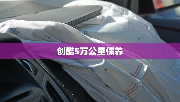 张家口小吨位限行政策解读，背景、影响与应对策略