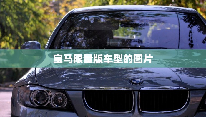 宝马限量版车型的图片