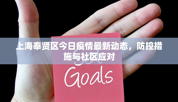 上海奉贤区今日疫情最新动态，防控措施与社区应对