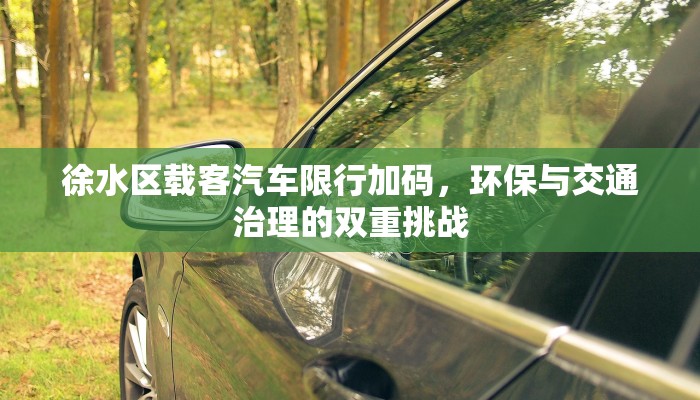 今天廊坊霸州限行多少号？最新限行政策解读与出行建议
