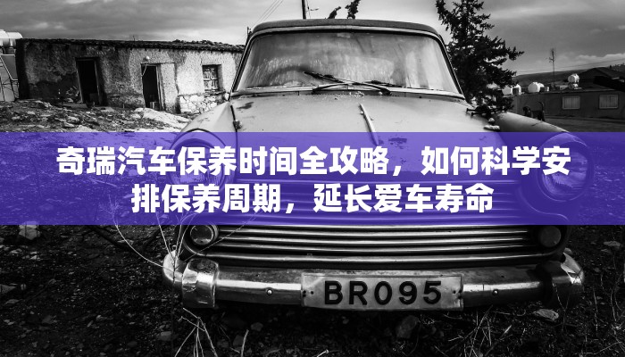 聊城最新疫情核酸结果公布，防控措施再升级，市民需加强防护