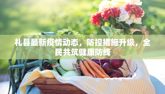 礼县最新疫情动态，防控措施升级，全民共筑健康防线