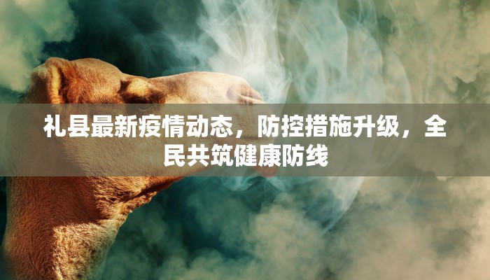 礼县最新疫情动态，防控措施升级，全民共筑健康防线