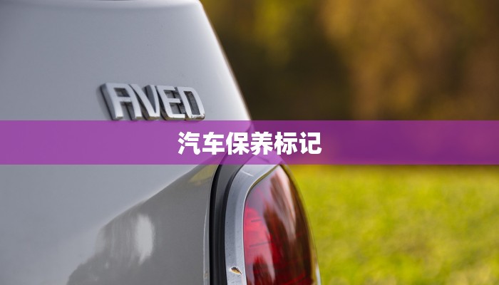 宝山疫情最新规定通知，全面解读与应对措施
