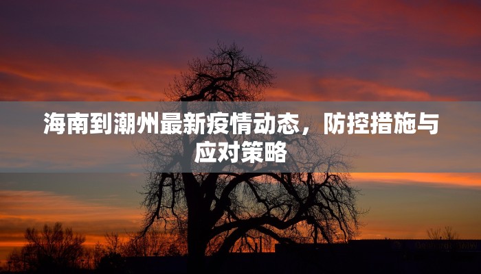 2022年1月限行政策详解，几号限行？如何应对？