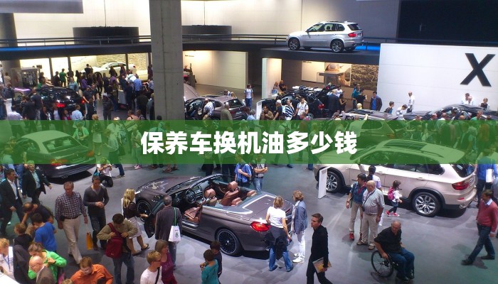 保养车换机油多少钱