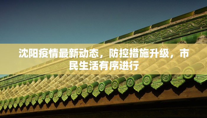 沈阳疫情最新动态，防控措施升级，市民生活有序进行