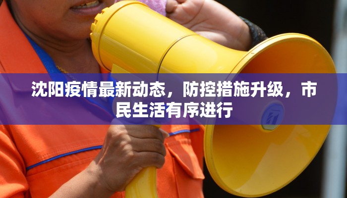 沈阳疫情最新动态，防控措施升级，市民生活有序进行
