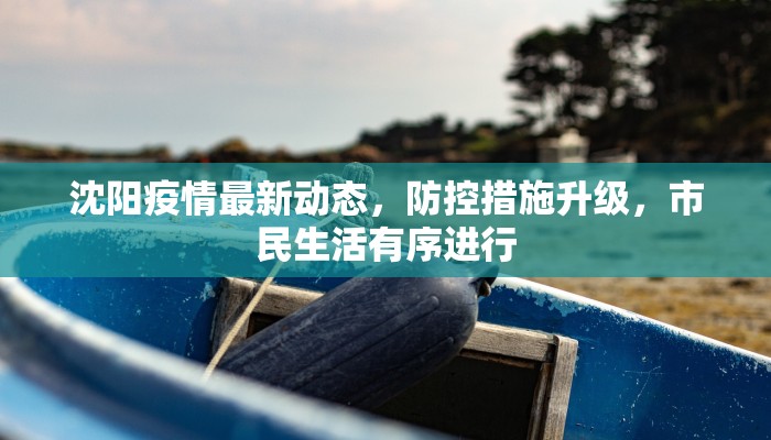 沈阳疫情最新动态，防控措施升级，市民生活有序进行