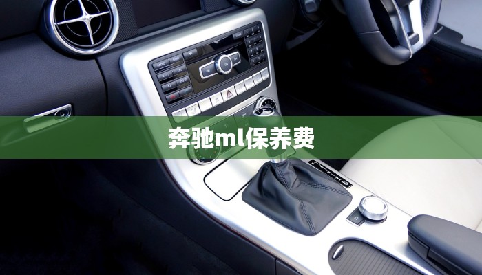 奔驰ml保养费