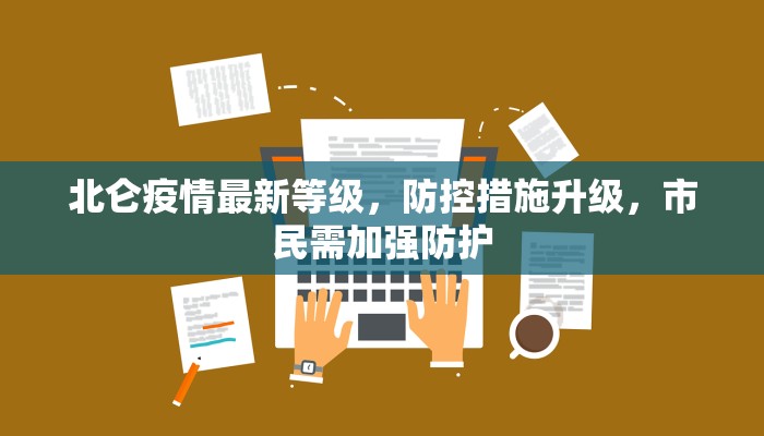 尼禄祭二期攻略，全面解析与高效通关指南