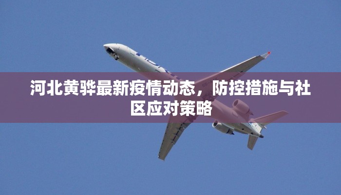 河北黄骅最新疫情动态，防控措施与社区应对策略