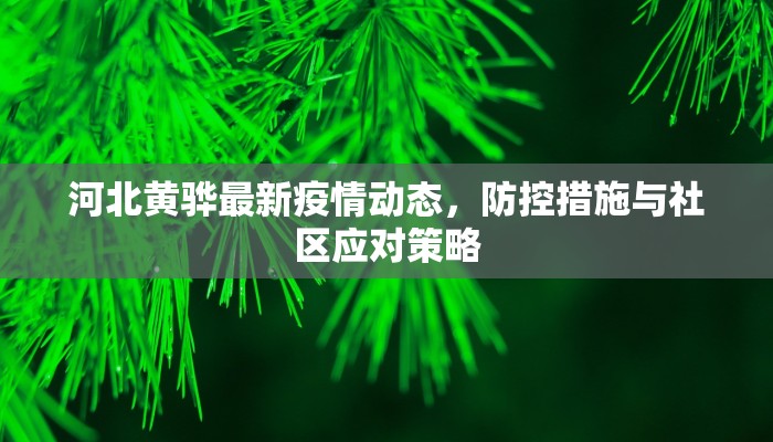 河北黄骅最新疫情动态，防控措施与社区应对策略