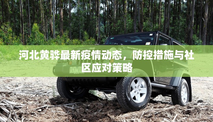 河北黄骅最新疫情动态，防控措施与社区应对策略