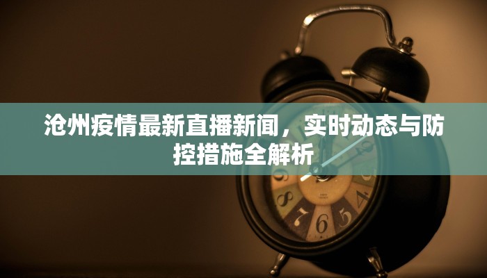 沧州疫情最新直播新闻，实时动态与防控措施全解析
