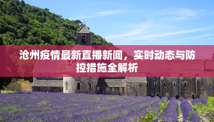 沧州疫情最新直播新闻，实时动态与防控措施全解析