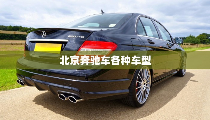 北京奔驰车各种车型