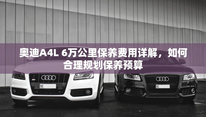 奥迪A4L 6万公里保养费用详解，如何合理规划保养预算