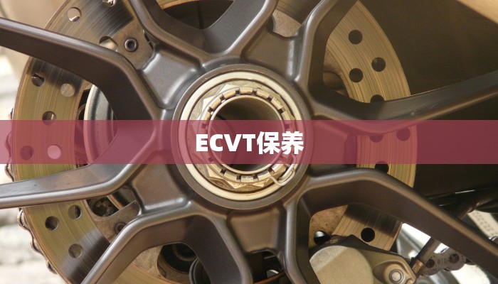 ECVT保养