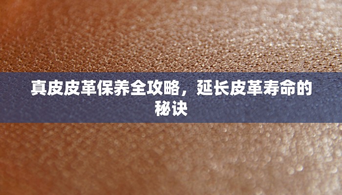 首汽约车商务车车型