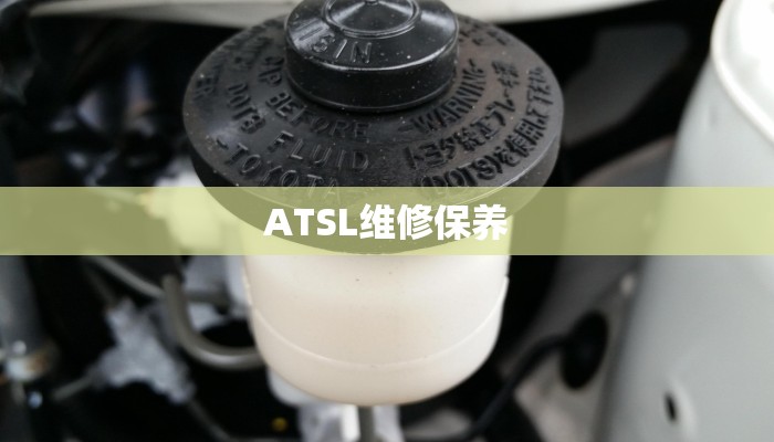 ATSL维修保养
