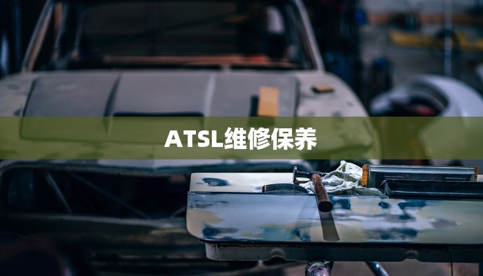 ATSL维修保养