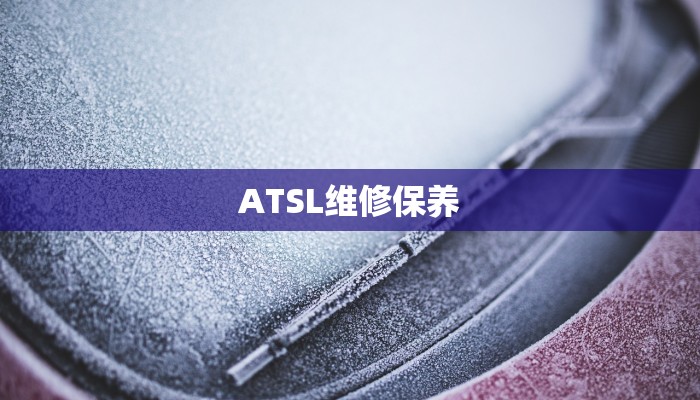 ATSL维修保养