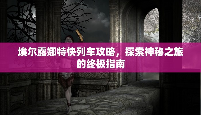 埃尔露娜特快列车攻略，探索神秘之旅的终极指南