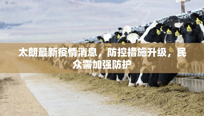 太朗最新疫情消息，防控措施升级，民众需加强防护