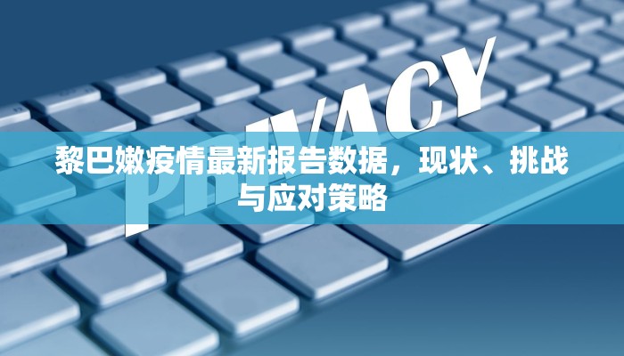 黎巴嫩疫情最新报告数据，现状、挑战与应对策略