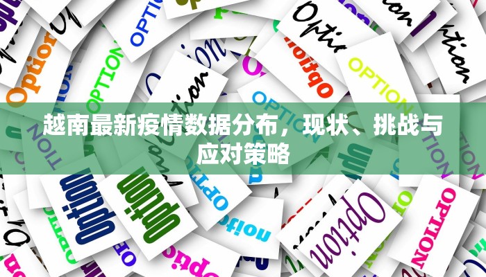 越南最新疫情数据分布，现状、挑战与应对策略