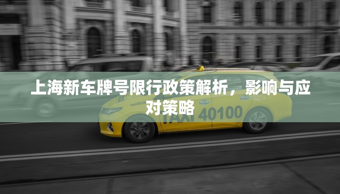 上海新车牌号限行政策解析，影响与应对策略
