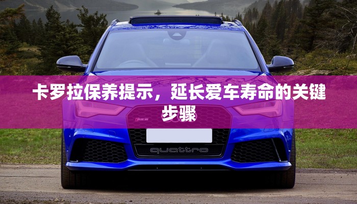 卡罗拉保养提示，延长爱车寿命的关键步骤
