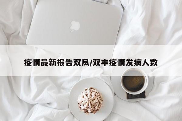疫情最新报告双凤/双丰疫情发病人数